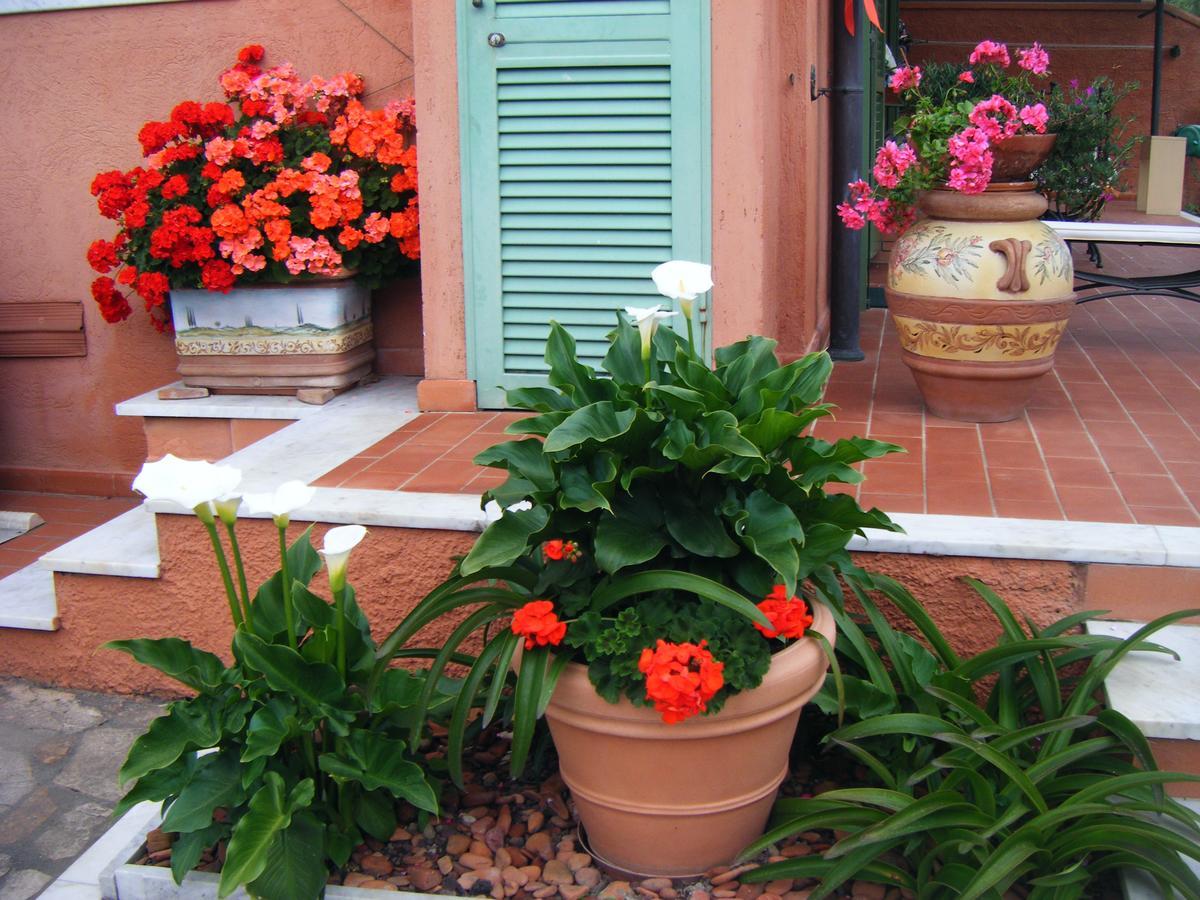 Giusy Bed And Breakfast Marina Di Carrara Eksteriør bilde