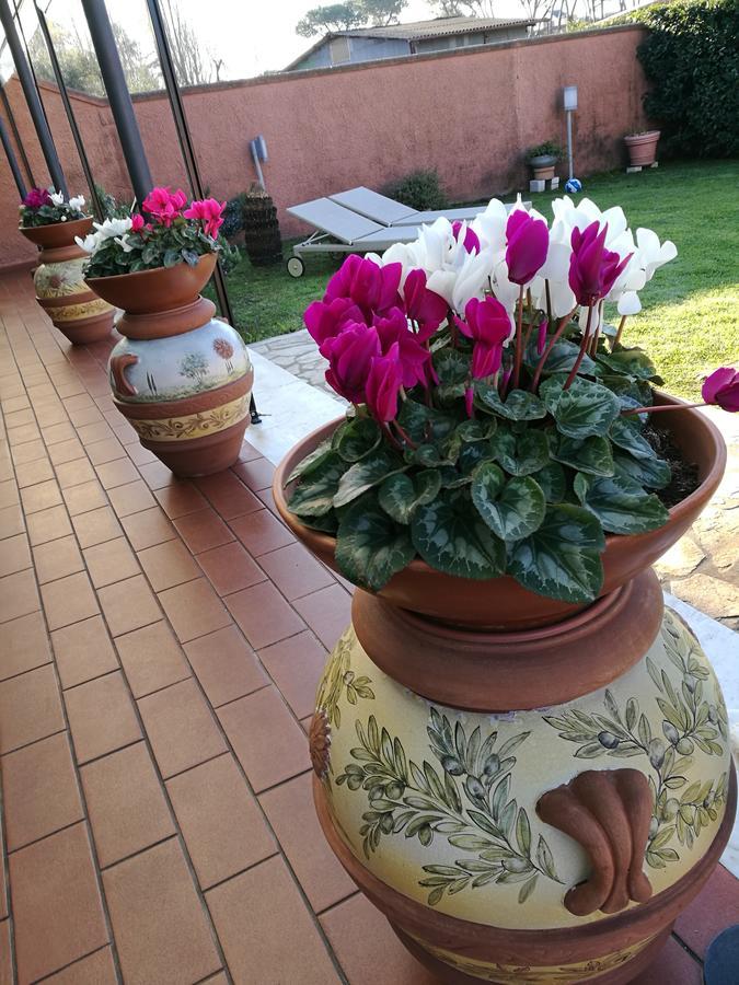 Giusy Bed And Breakfast Marina Di Carrara Eksteriør bilde